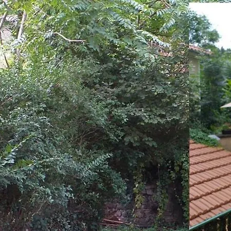 Apartman Cote Jardin
